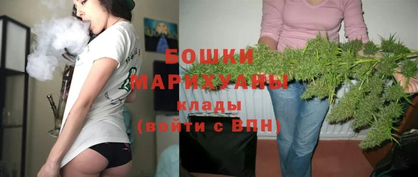 бутират Гусь-Хрустальный