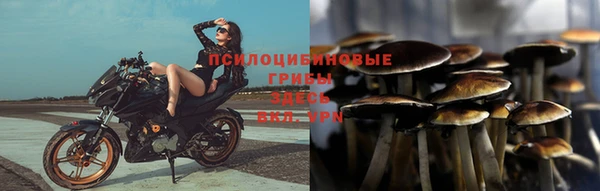 винт Гусиноозёрск