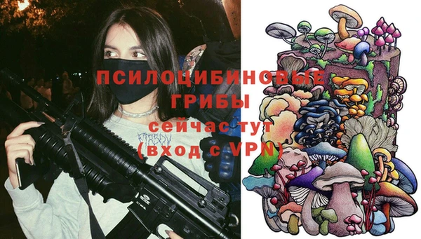 винт Гусиноозёрск