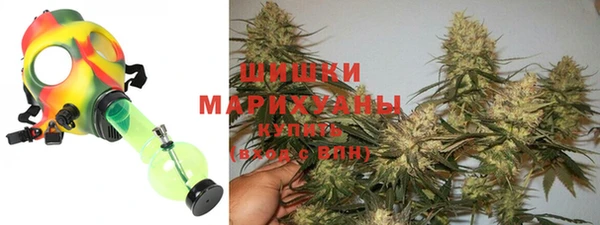 винт Гусиноозёрск